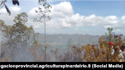 Imágenes del incendio forestal en Pinar del Río, en abril de 2025.