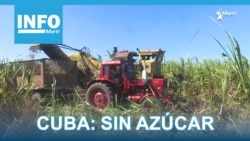 Info Martí | “Sin azúcar no hay país” 