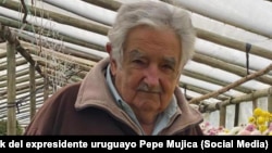 Pepe Mujica, expresidente de Uruguay